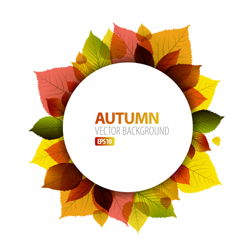 Autumn leaves frame vector background Autumn leaves frame vector background