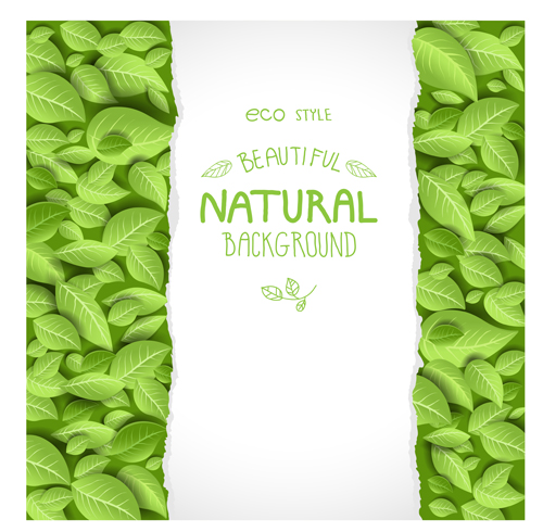 Beautiful green leaves natural background vector 01