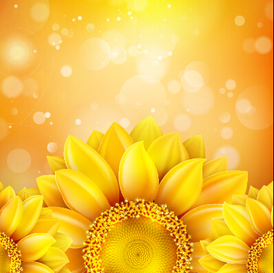 sunflower flowers beautiful background 