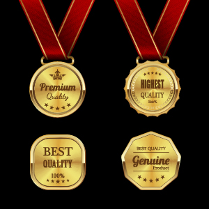Gorgeous medal award vector 02