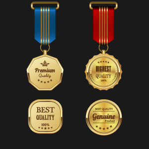 Gorgeous medal award vector 03