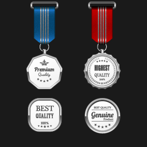 Gorgeous medal award vector 04