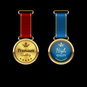 Sparkling award medal vector set 01