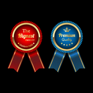 Sparkling award medal vector set 02
