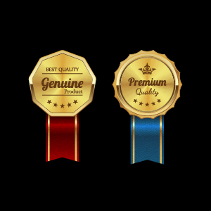 Sparkling award medal vector set 03