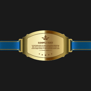 Sparkling award medal vector set 06