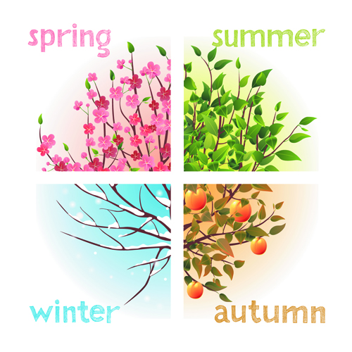 with four seasons vector material 02 Tree with four seasons vector material 02