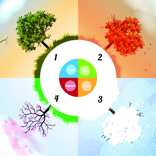 with four seasons vector material 05 Tree with four seasons vector material 05