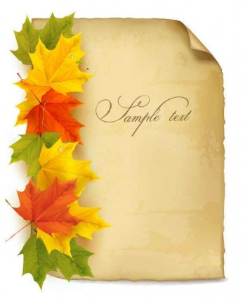 Beautiful maple leaf background vector set Beautiful maple leaf background vector set