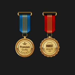 Gorgeous medal award vector 05