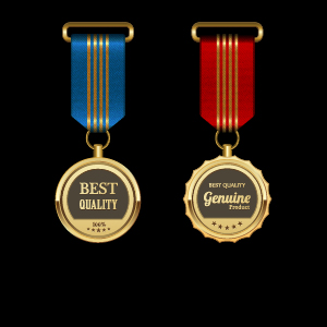 Gorgeous medal award vector 07