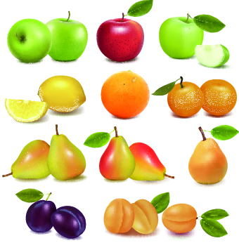 vector illustration realistic fruit 