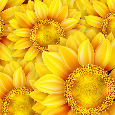 sunflower seamless realistic flowers 