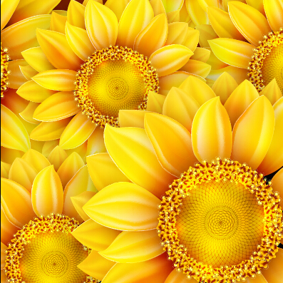 Realistic sunflowers vector seamless pattern 01