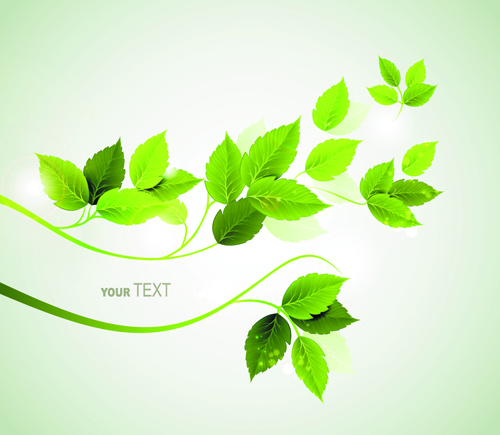 refreshing leaves background green leaves green background vector 