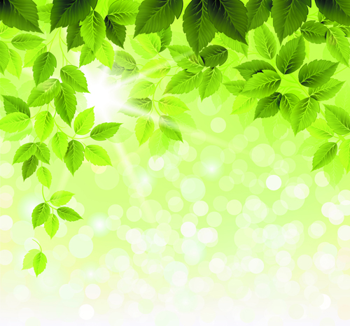 refreshing leaves background green leaves green background vector background 