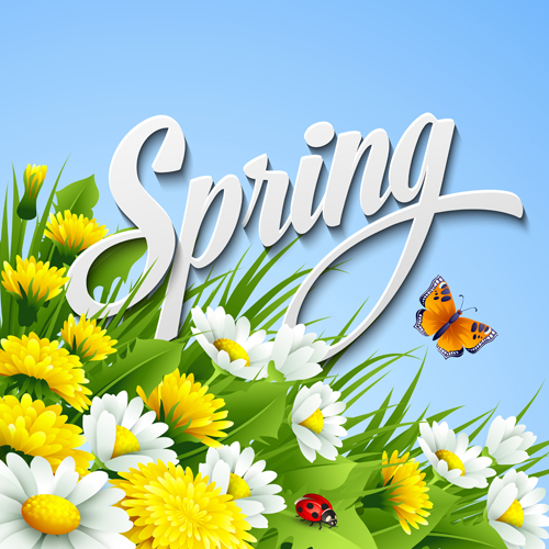spring refreshing flower Backgrounds 