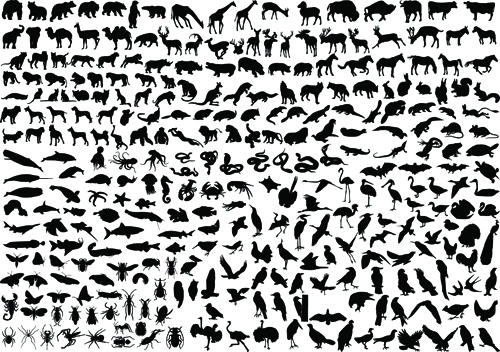 Various silhouettes silhouette animal 