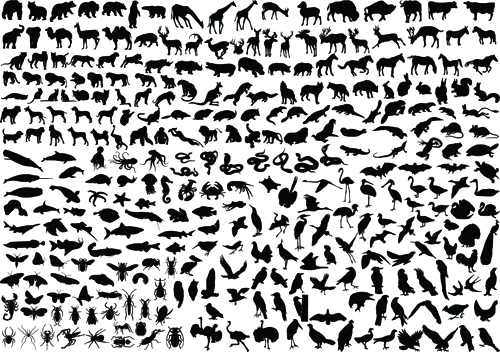 Various Animals Silhouettes design vector set 02