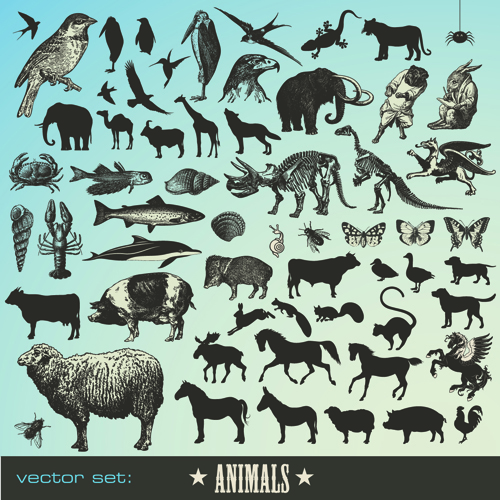 Various Animals Silhouettes design vector set 03