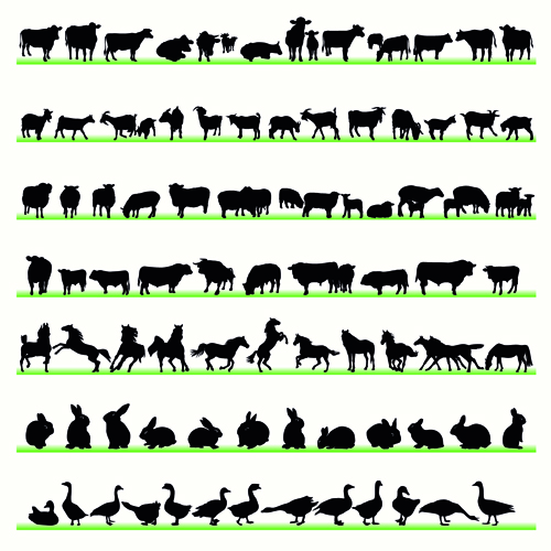 Various Animals Silhouettes design vector set 04