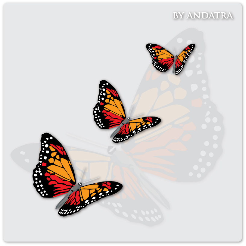terfly background vector graphics 02 Charming butterflies with butterfly background vector graphics 02