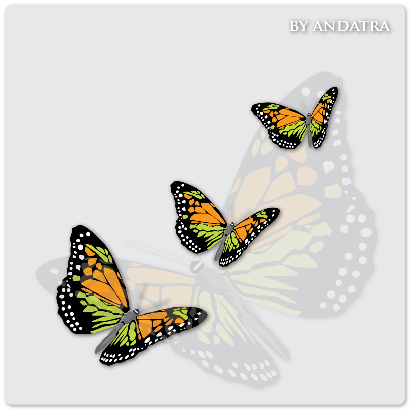 vector graphics Charming butterfly butterflies background vector background 