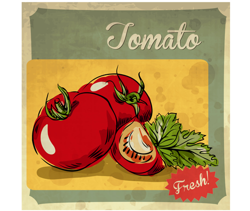 etro style poster vector material 03 Fresh tomato retro style poster vector material 03