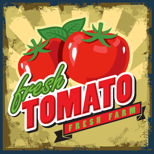 vector material tomato Retro style poster material 