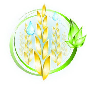 Glass food vector Illustration 01