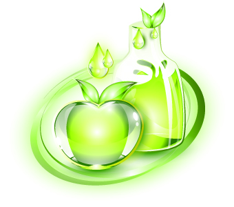Glass food vector Illustration 03