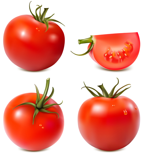 tomato juicy fresh 