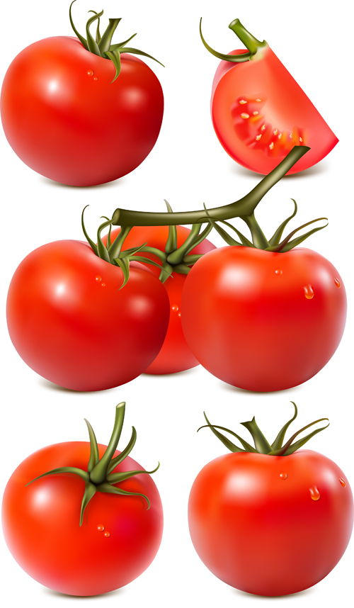 tomato juicy fresh 