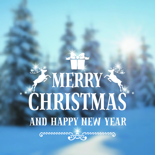 Winter forest christmas blurred background 01