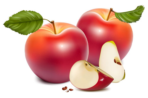 Different Fruit and green leaves vector 03