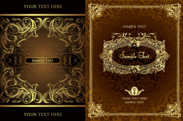 Ornate gorgeous Border vector