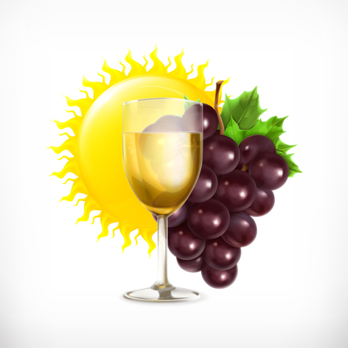 Grapes and drinks with sun vector