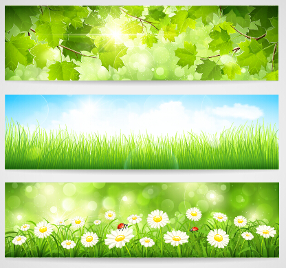 Green spring leaves banners set vector 02