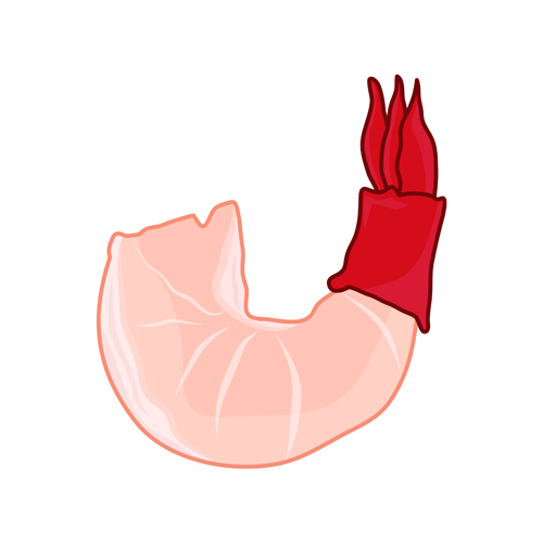 Hand drawn seafood vectors graphics 03