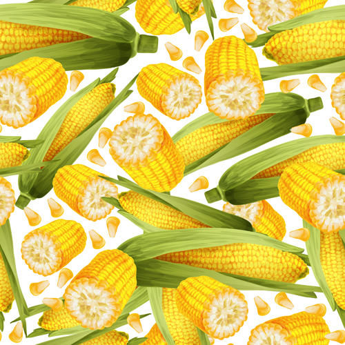 seamless realistic pattern corn 