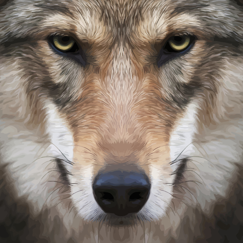 Realistic dog face design vector