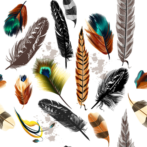 seamless realistic pattern feathers 