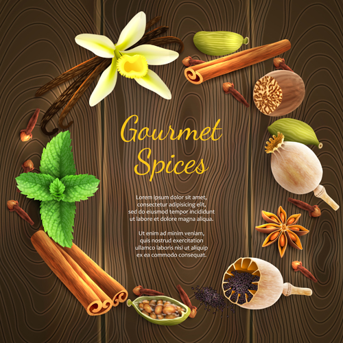 Vector gourmet spices background material 01