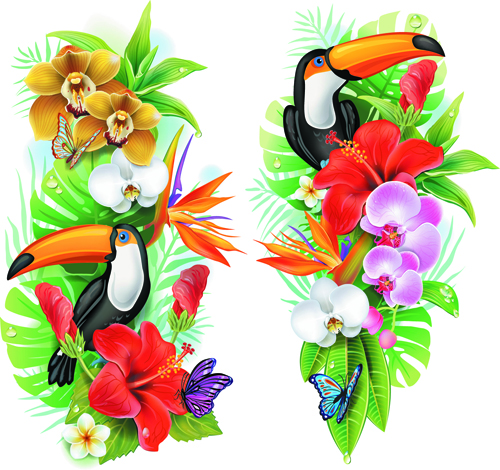 Flowers borders vector set 01