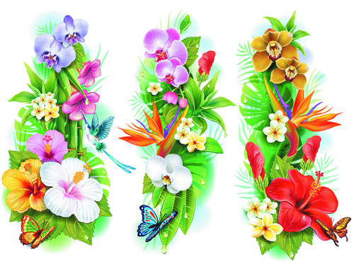 Flowers borders vector set 02
