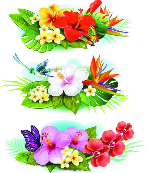 Flowers borders vector set 04