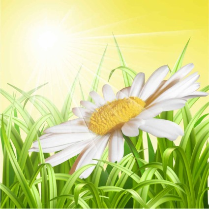 White flower with grass art background vector