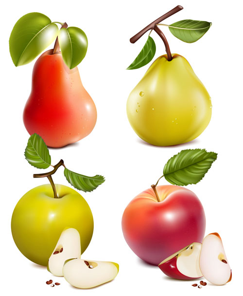 Different Fruit and green leaves vector 04