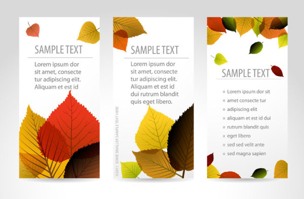 maple leaves cards card 