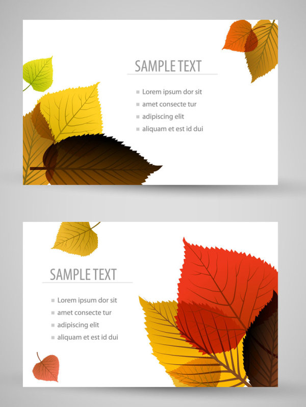 Set of maple leaves cards vector 03